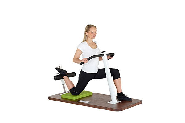 Leg Extensor / Hip Flexor 236