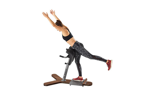 Core Stability HIP HINGE 368